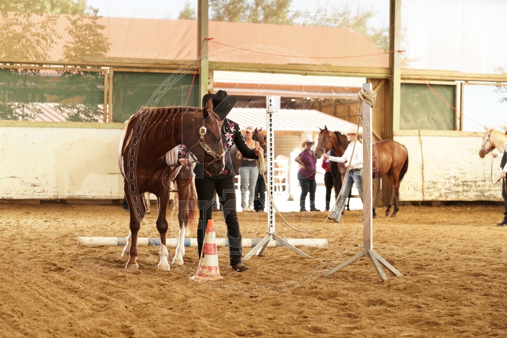 s_K3F03089.JPG